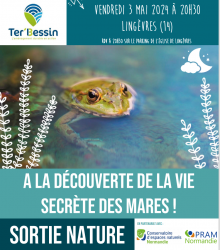affiche ter bessin