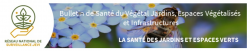 BSV