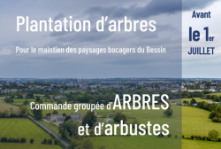 affiche cde arbres -...